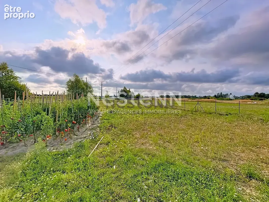 Maison neuve à Soings-en-Sologne : le coup de coeur assuré ! - photo 4