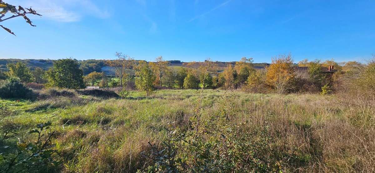 Photo 3 - Terrain à MONCLAR-DE-QUERCY