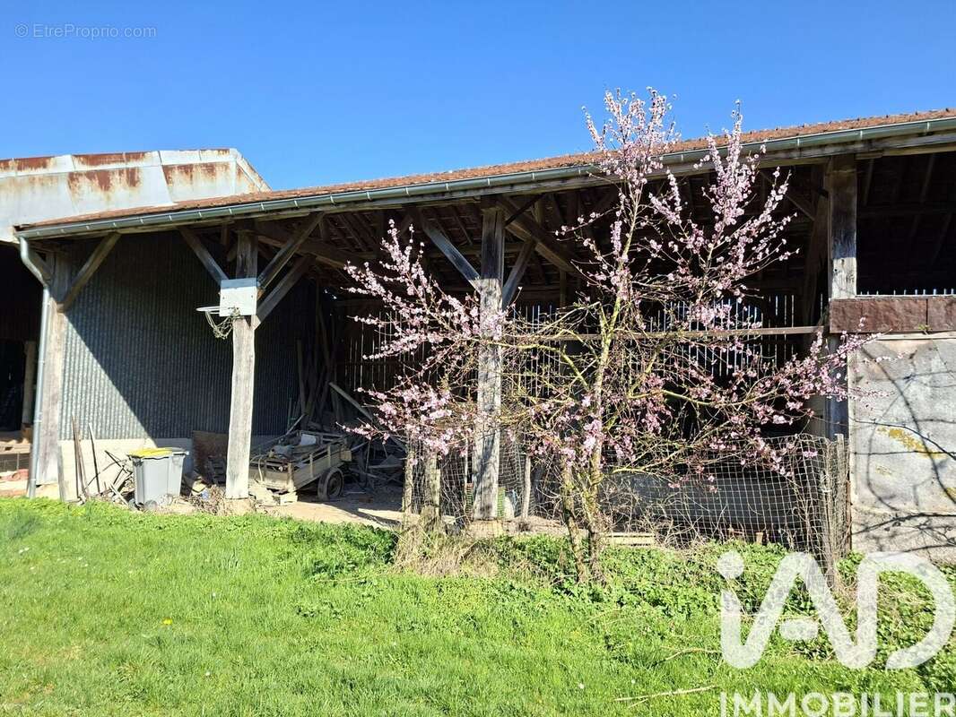 Photo 4 - Maison à THORIGNY-SUR-OREUSE
