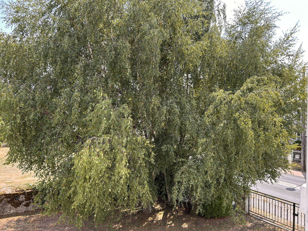 Maison à LE PECHEREAU