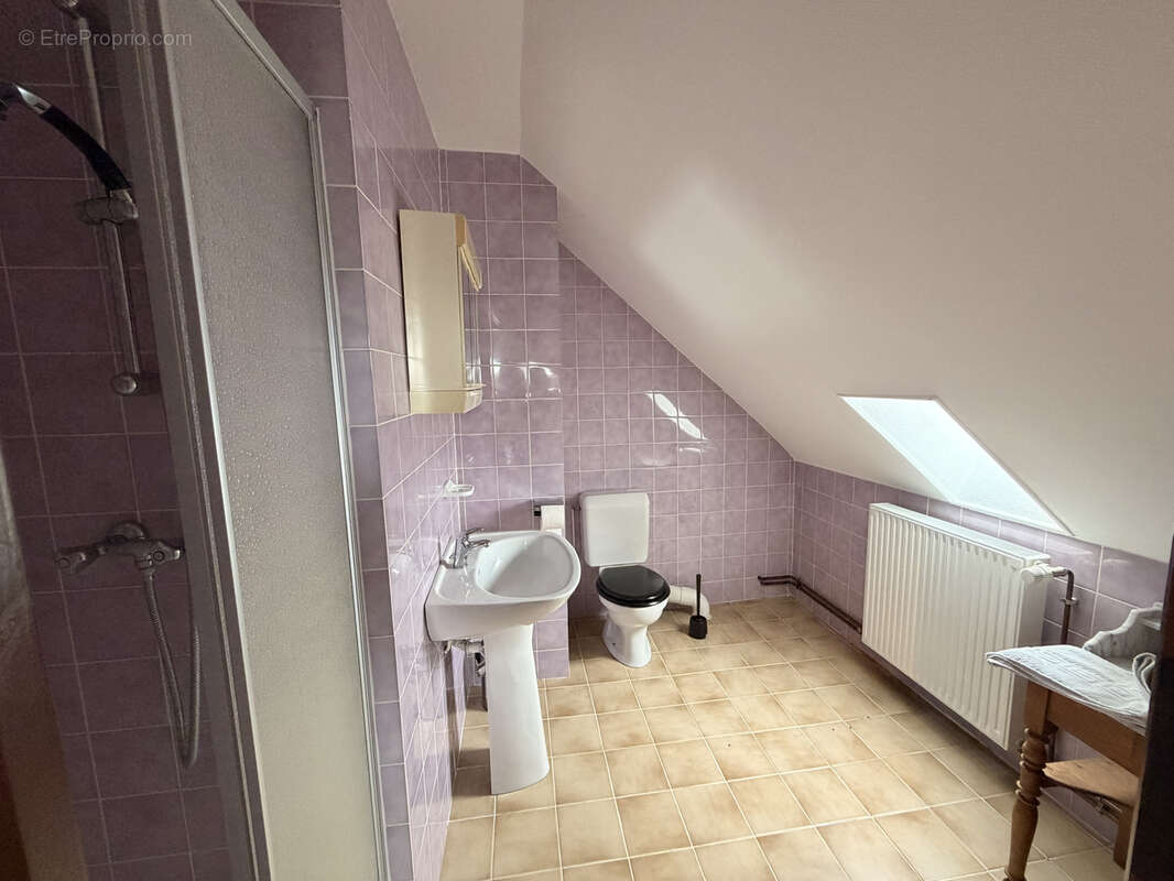 Dammarie en puisaye - hôtel / restaurant - photo 29