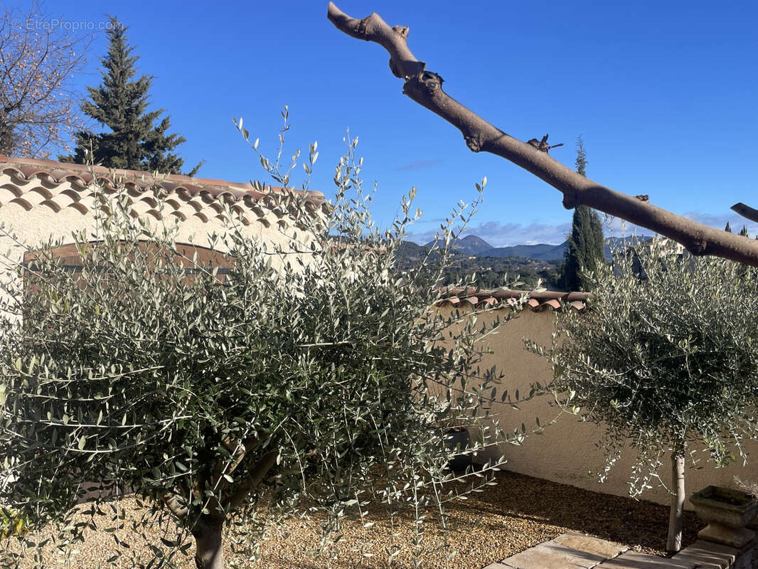 Maison à VAISON-LA-ROMAINE