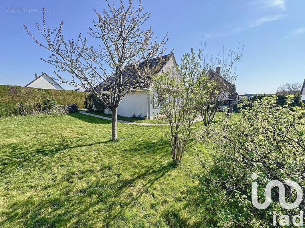 Photo 1 - Maison à LE MESNIL-ESNARD