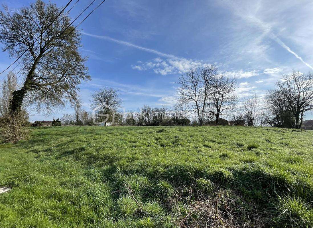 Terrain à LONGEVILLE-SUR-LA-LAINES