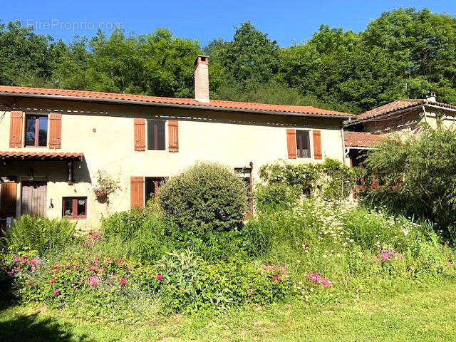 Ancien Moulin Historique, 4 Chambres, Gîte, Dépendances, Vues - photo 5