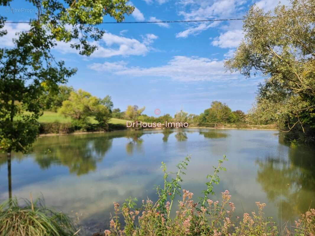 Maison à SAINT-MARTIN-DE-VILLEREAL