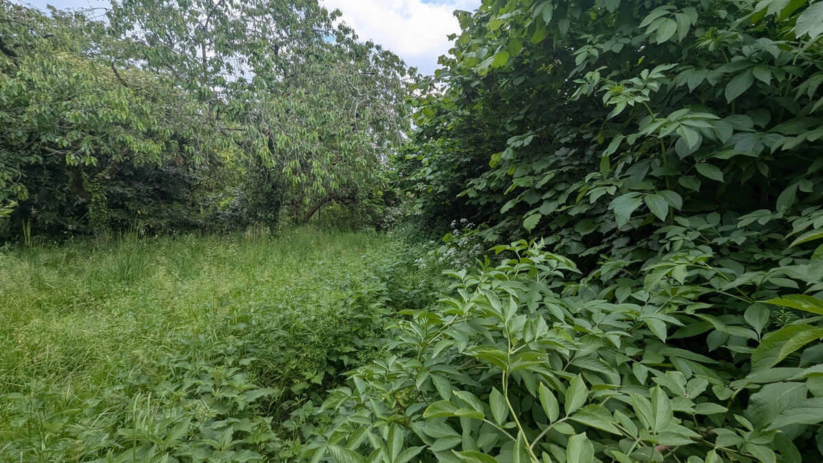 Terrain à MAGNE