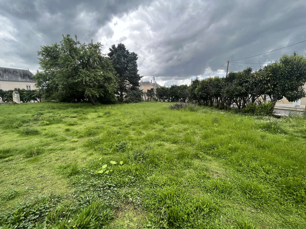ref 60513 BRION PRES THOUET Terrain constructible hors lotissement de 1258m2 - photo 3
