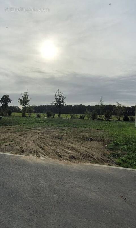 Terrain à SAINT-MARS-DU-DESERT