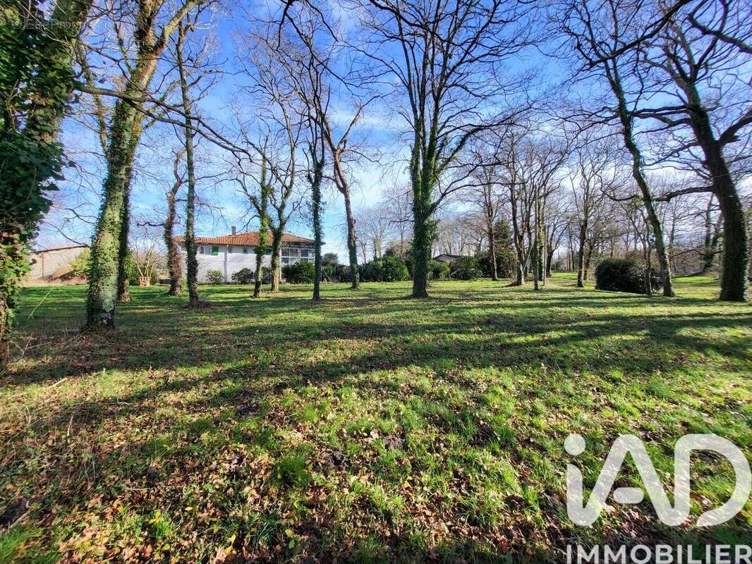 Photo 3 - Maison à SAUBRIGUES