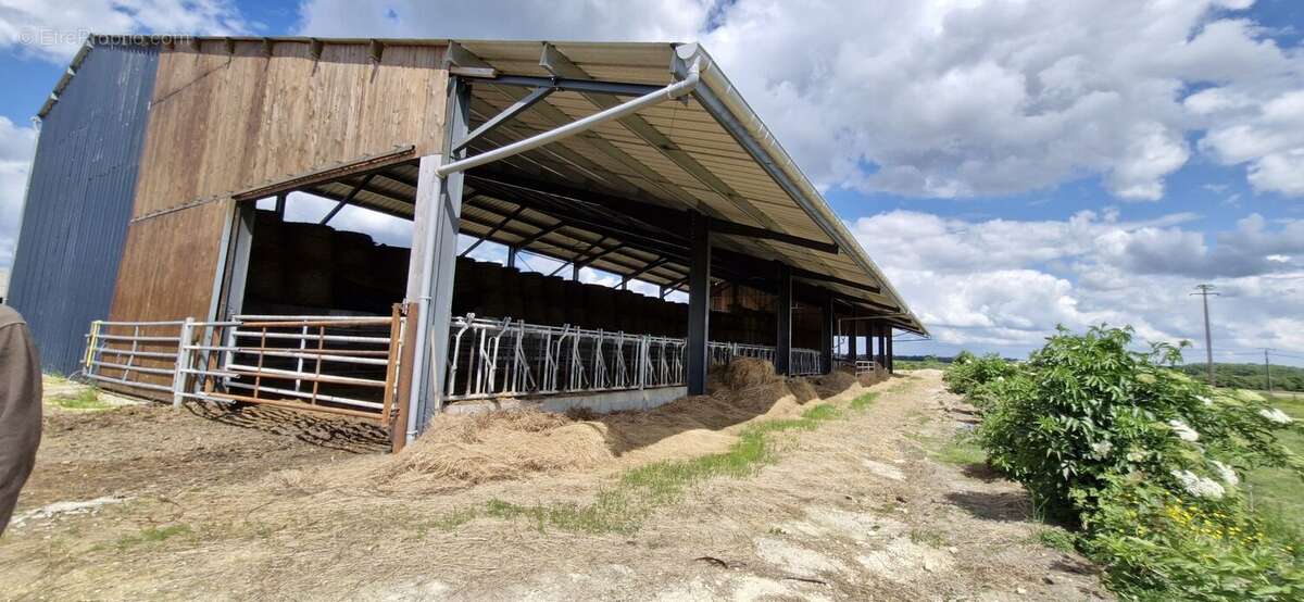 Commerce à SOUVIGNE