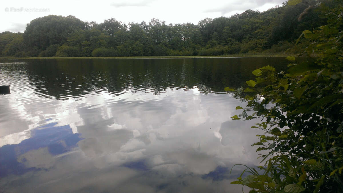 Terrain à PLOMBIERES-LES-BAINS
