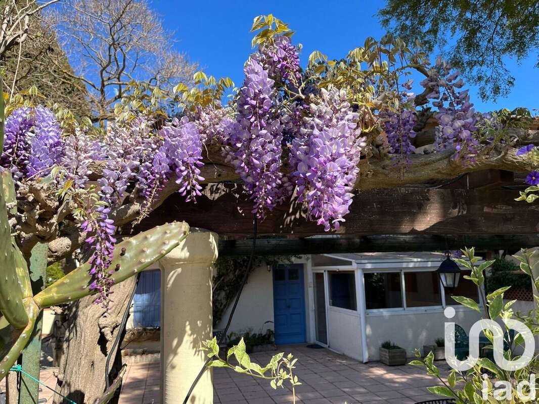 Photo 2 - Maison à VILLELONGUE-DE-LA-SALANQUE