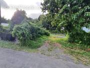 Terrain à LE TAMPON