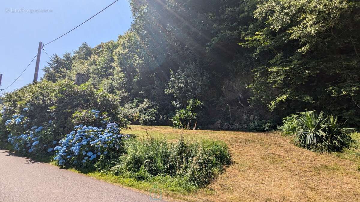 À 8 kilometres de Baud  Maison en pierres, début XXe siècle, face au Blavet - photo 28