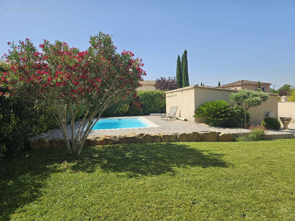 Un air de vacances ! - photo 17
