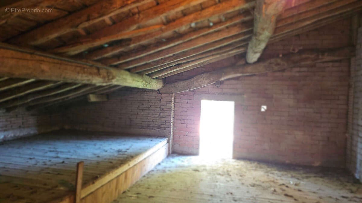 Maison à VILLEMUR-SUR-TARN