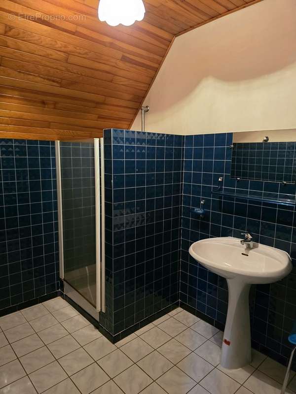 Maison avec vue et piscine - photo 14