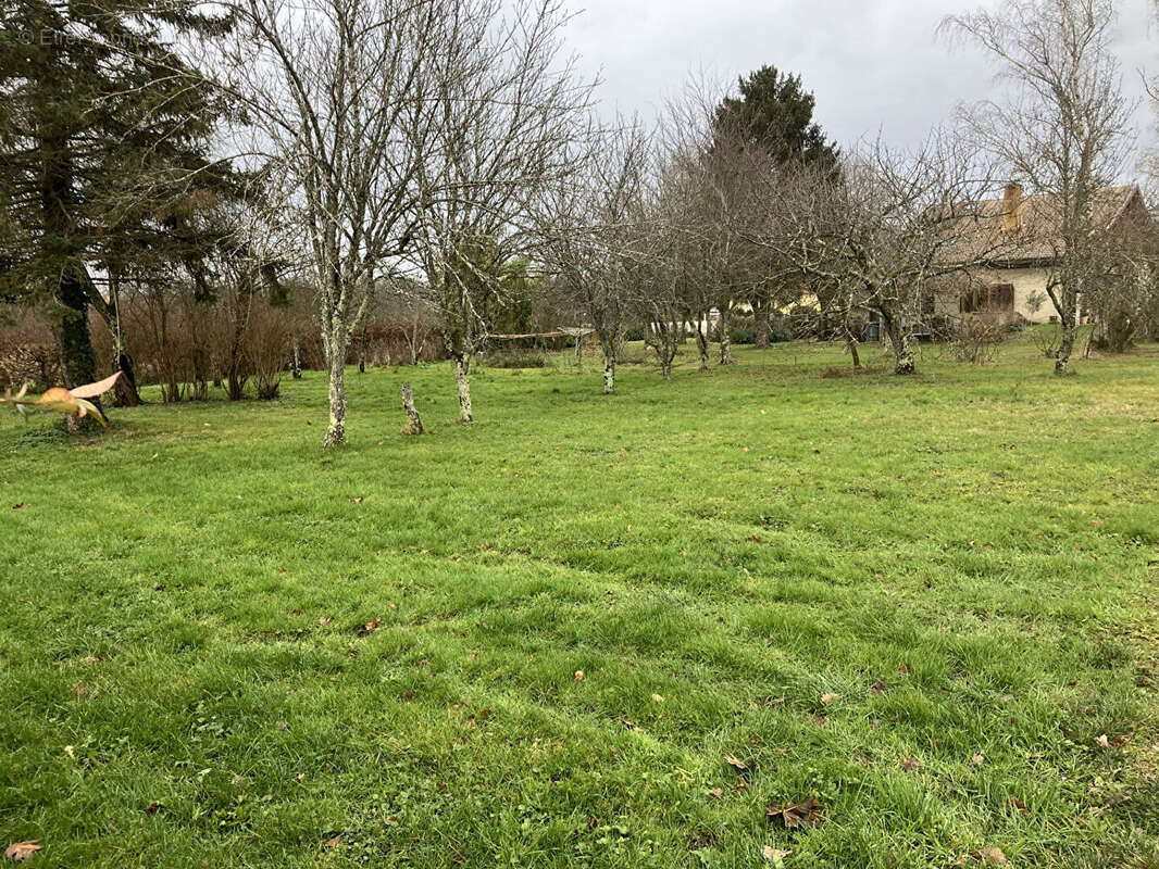 Terrain à LA TRANCLIERE