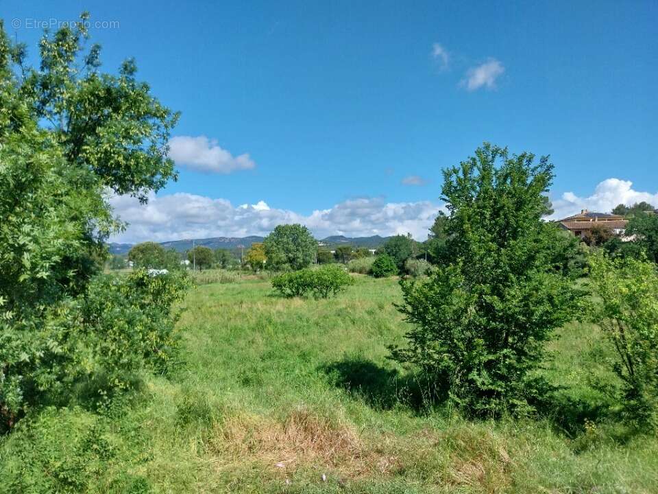 Terrain 344 m² à Frejus  - photo 2