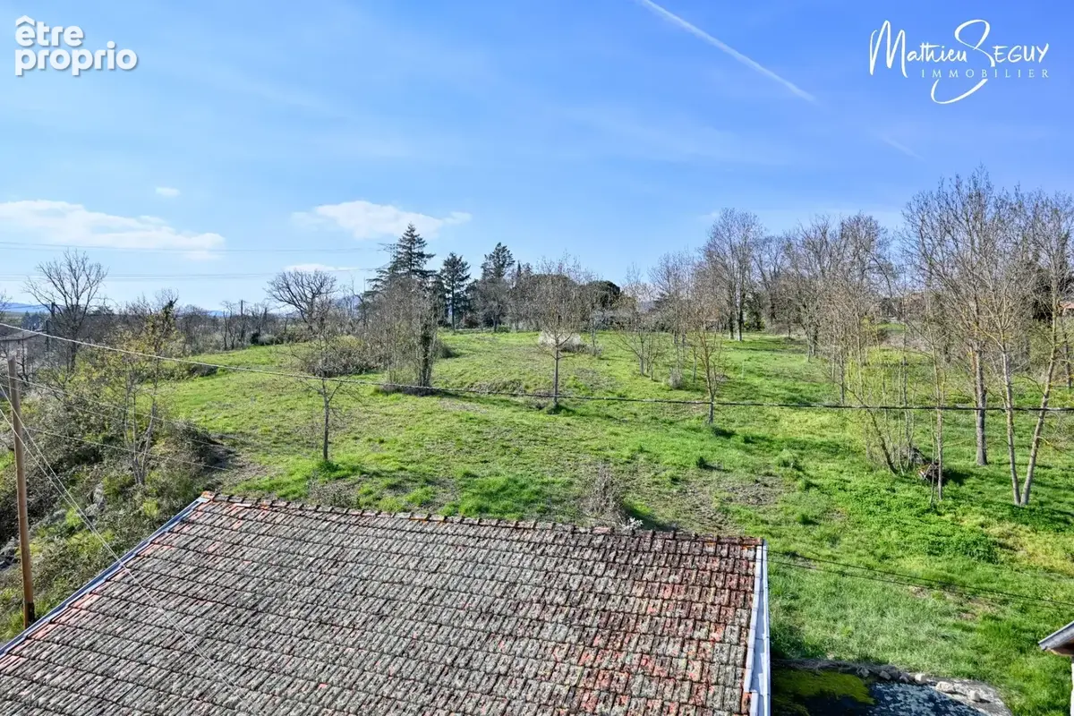 Ancien Moulin sur 1,3 Ha de terrain à MESSIMY (69) - photo 25