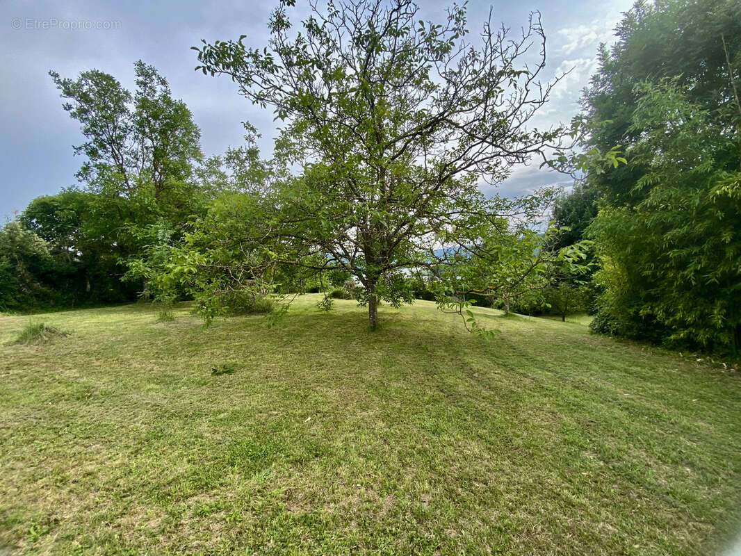 Terrain à PONSAS