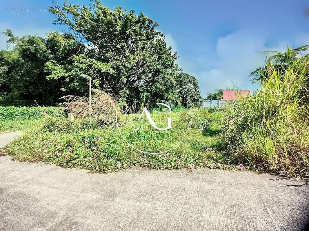Photo 2 - Terrain à LE MORNE-ROUGE