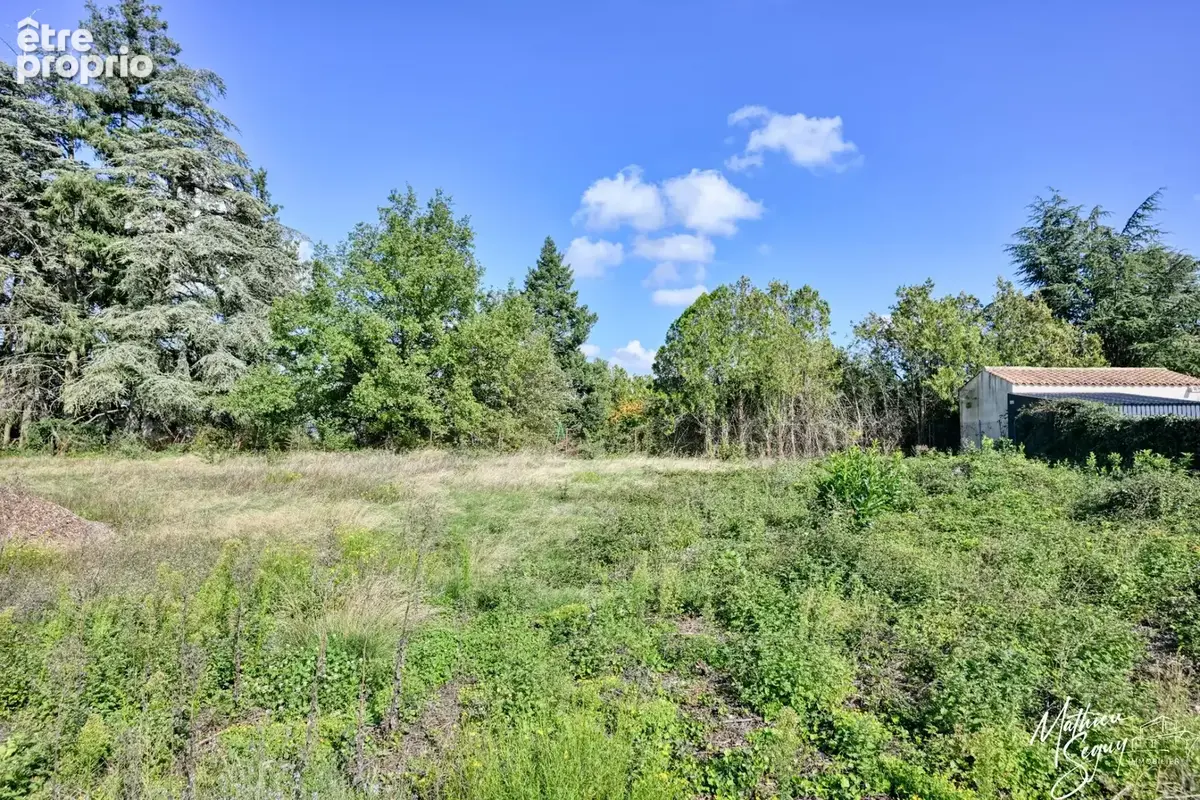 Un joli terrain recherche ses futurs propriétaires pour implanter un nouveau projet de vie! - photo 6