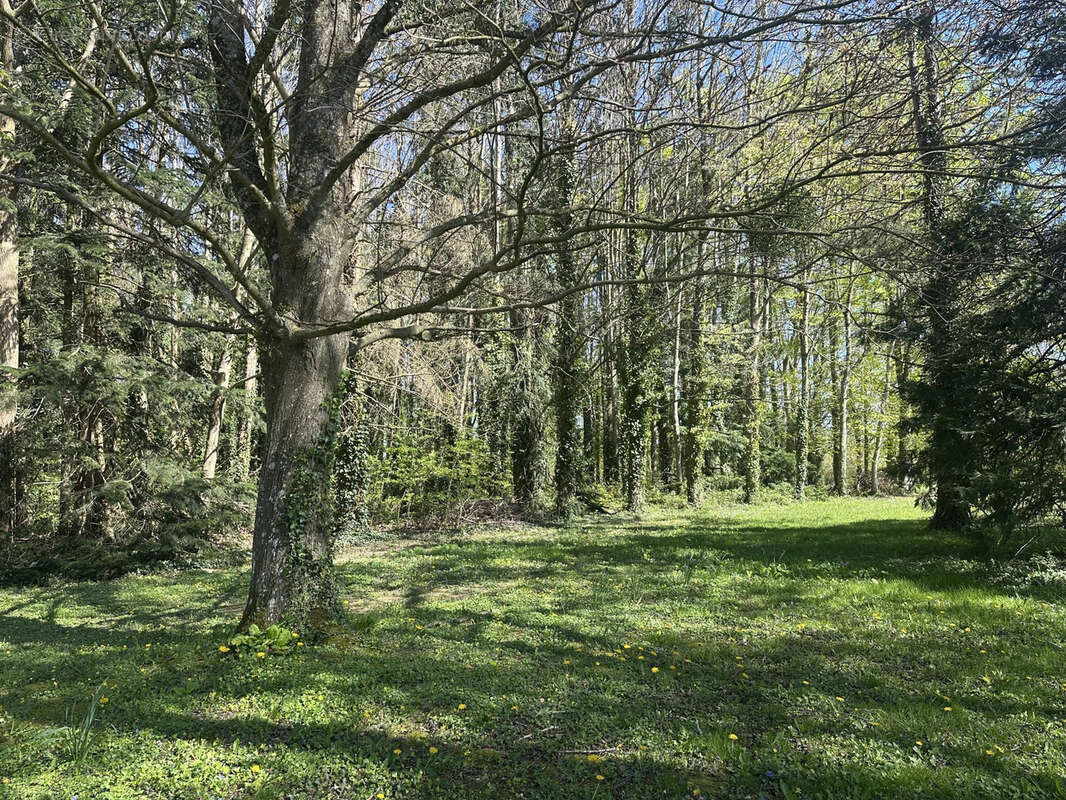Maison de campagne sur 2 ha ! - photo 4