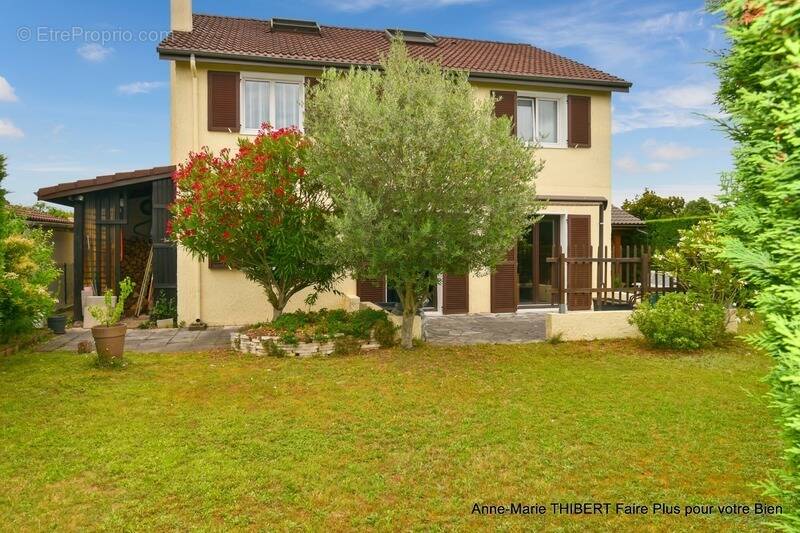 Maison à CHASSIEU