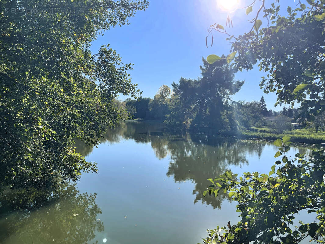 Terrain à VILLAMBLARD