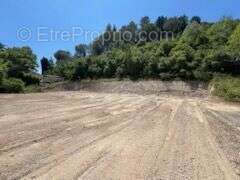 Beau Terrain hauteur  de Limoux - photo 20