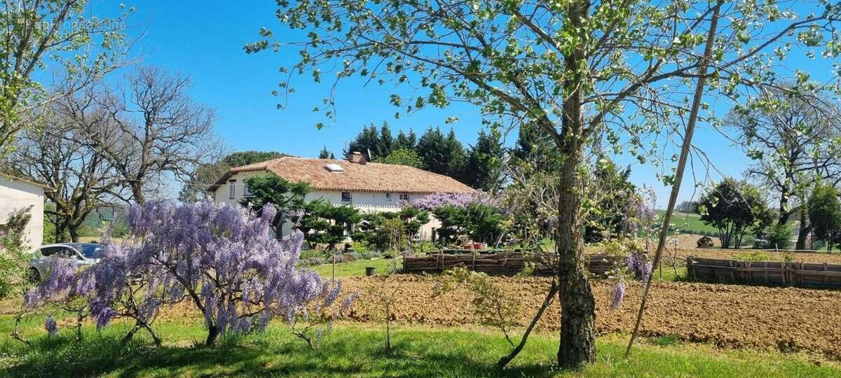 Photo 4 - Maison à LAVIT