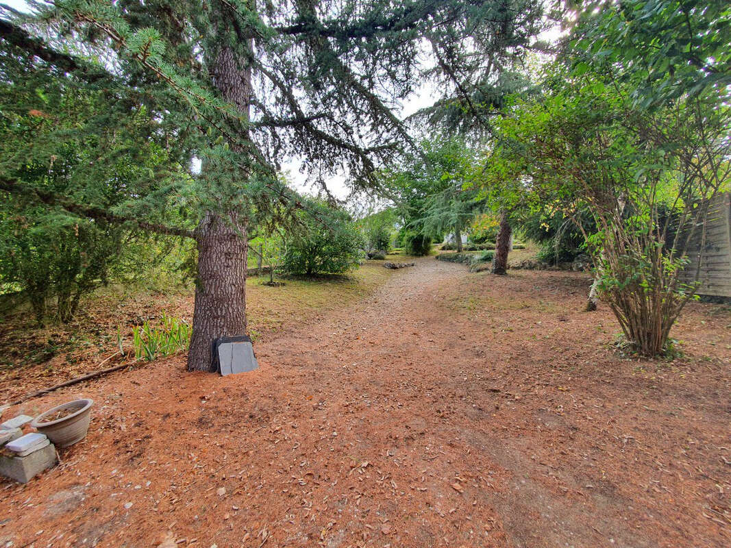Maison à MONTHOU-SUR-CHER