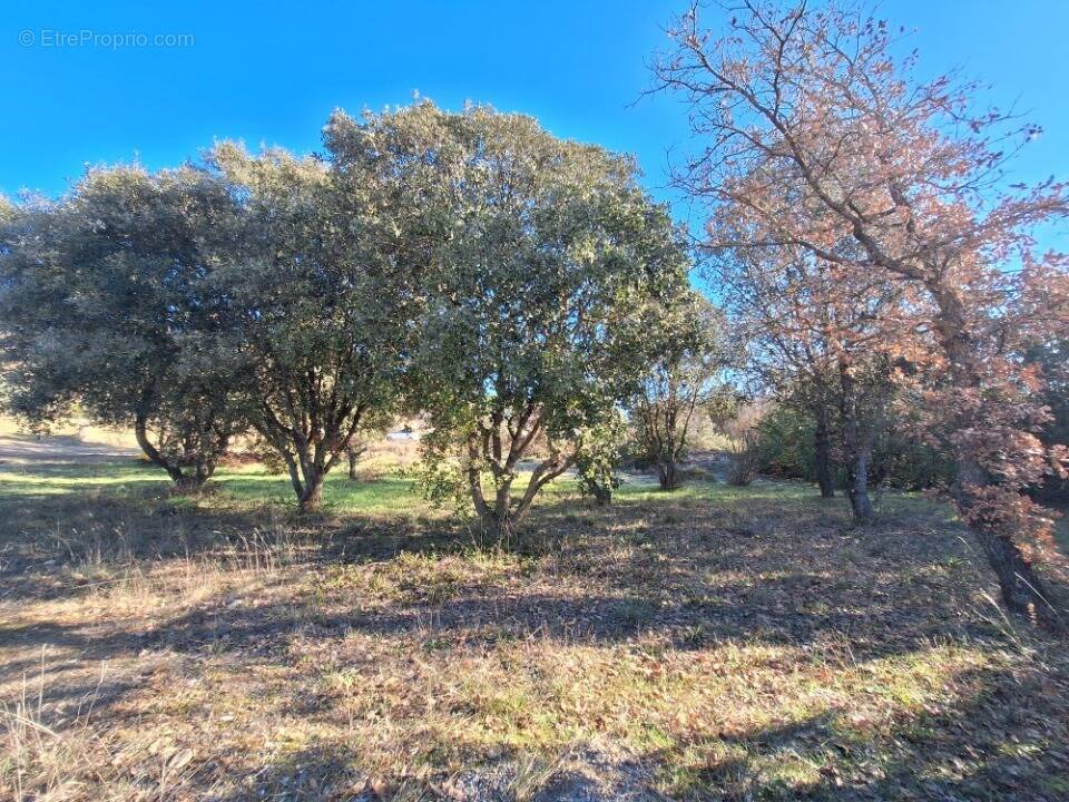 Terrain à VINON-SUR-VERDON