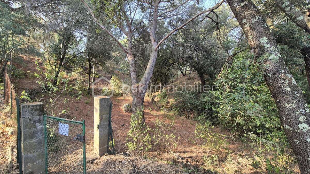 A vendre propriete mas de 170m² sur terrain de 12944m² cloture - le boulou - six chambres - climatisation reversible - garage -  - photo 22