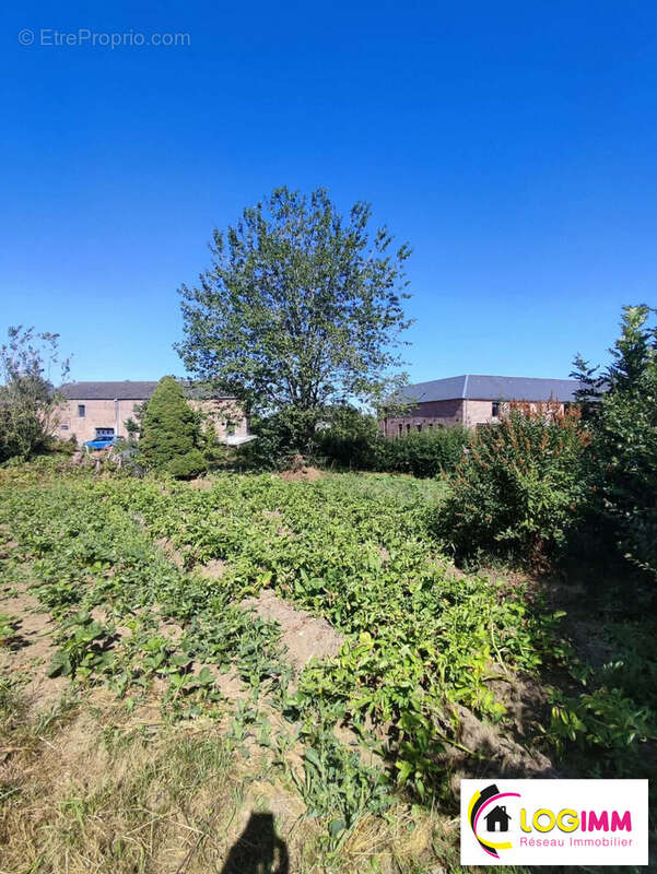Terrain 695 m² à Maroilles  - photo 4