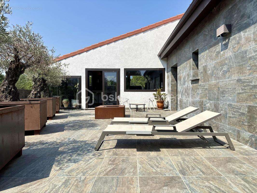 Entre Mer et Montagne, une Villa Unique au Cœur d’un Écrin d’Oliviers - photo 10