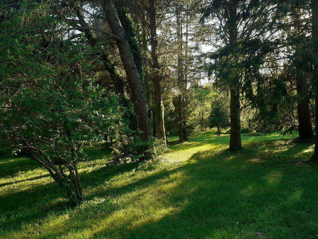Dunière-sur-Eyrieux – Authentique propriété en pierre au cœur d'un écrin de nature - photo 26