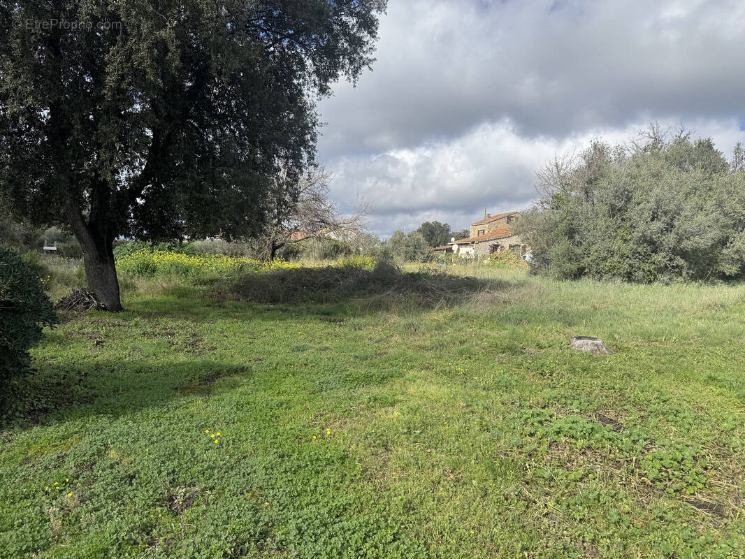 Terrain à ALERIA