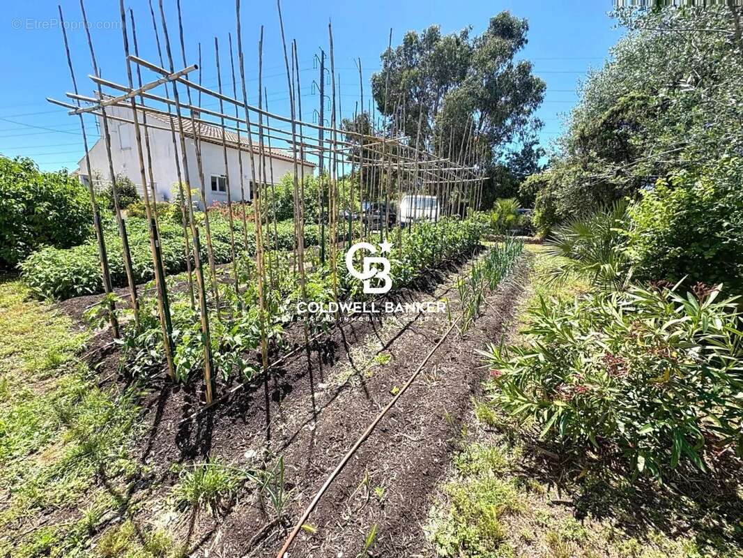 Maison à PUGET-SUR-ARGENS