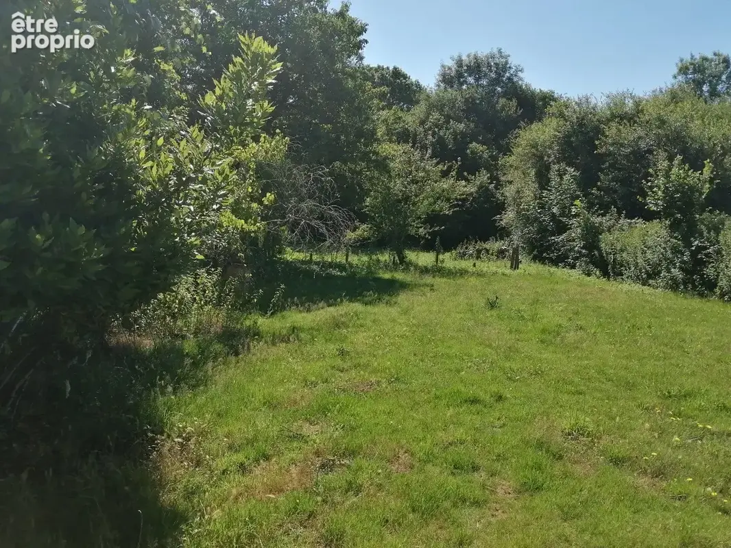 Chirac - maison avec grange, terrain et source d'eau - petite exploitation - photo 3