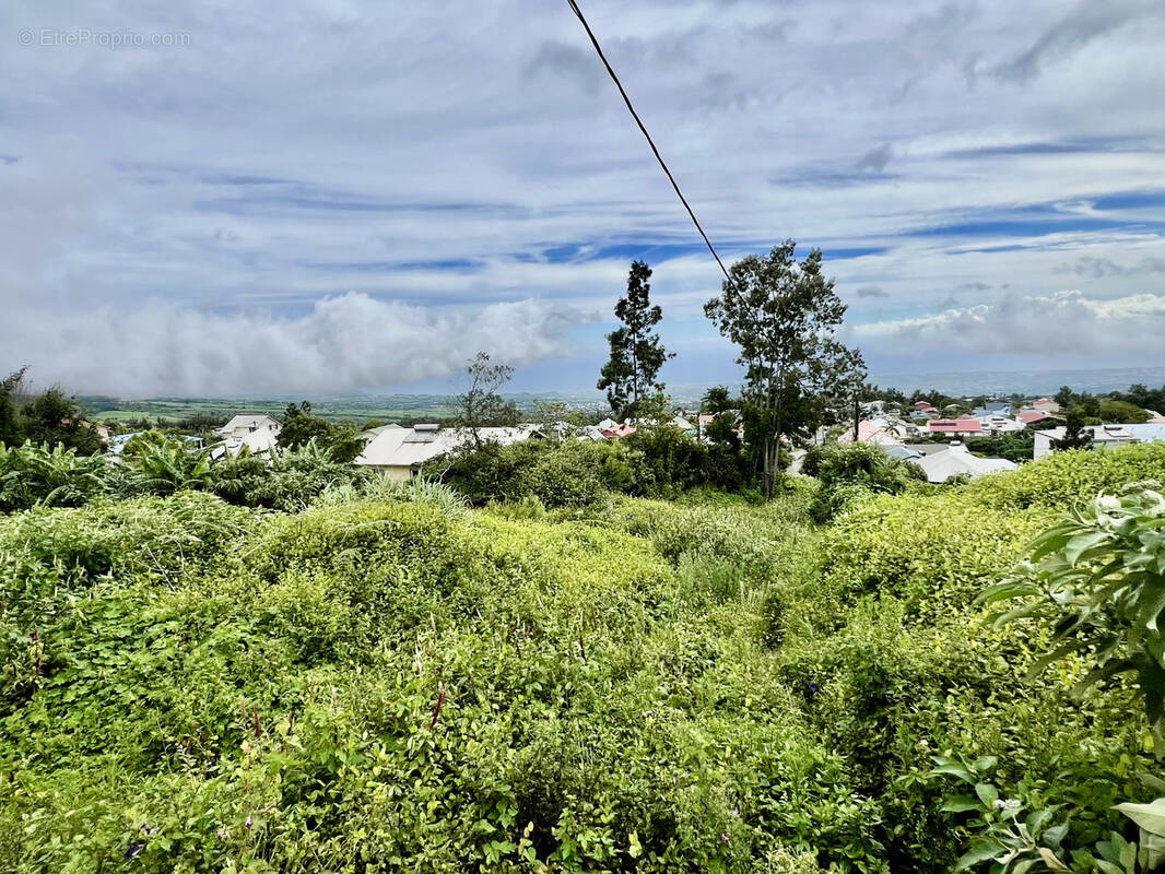 Terrain à SAINT-PIERRE