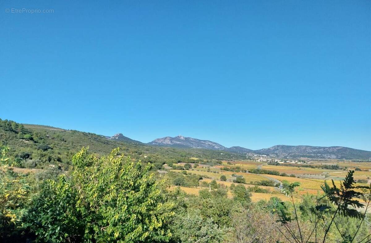 Maison à SAINT-GUIRAUD