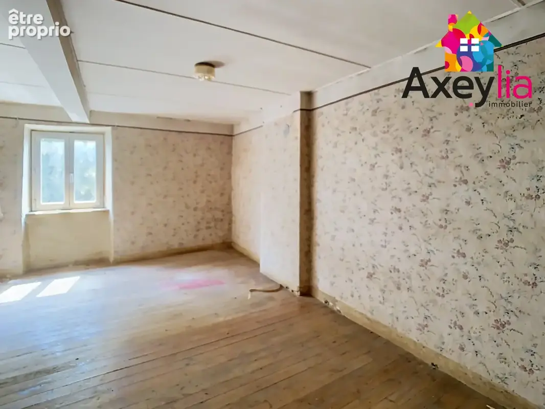 A vendre-panissieres - maison de village a renover avec jardin - photo 4