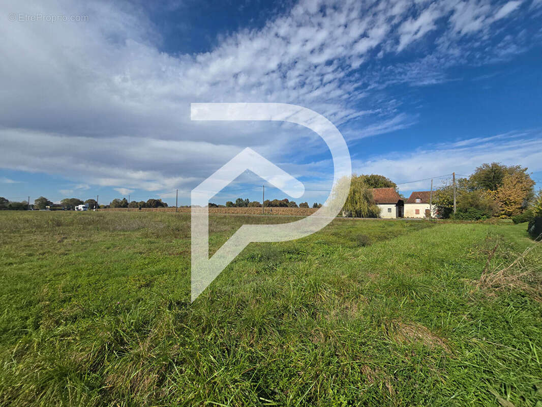 Terrain à HAGETAUBIN