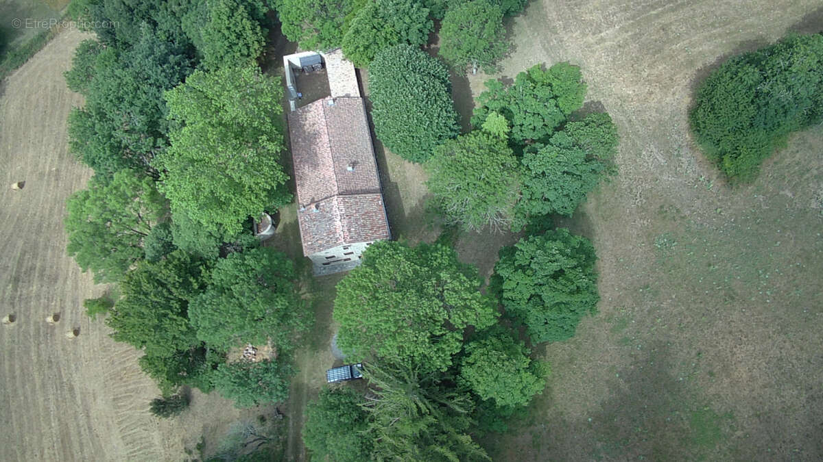 Haute Corbières - 20min de Limoux - Propriété d’Exception avec 98 ha de Forêt et Dépendances - photo 17