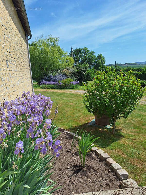 Maison à MORTAGNE-AU-PERCHE