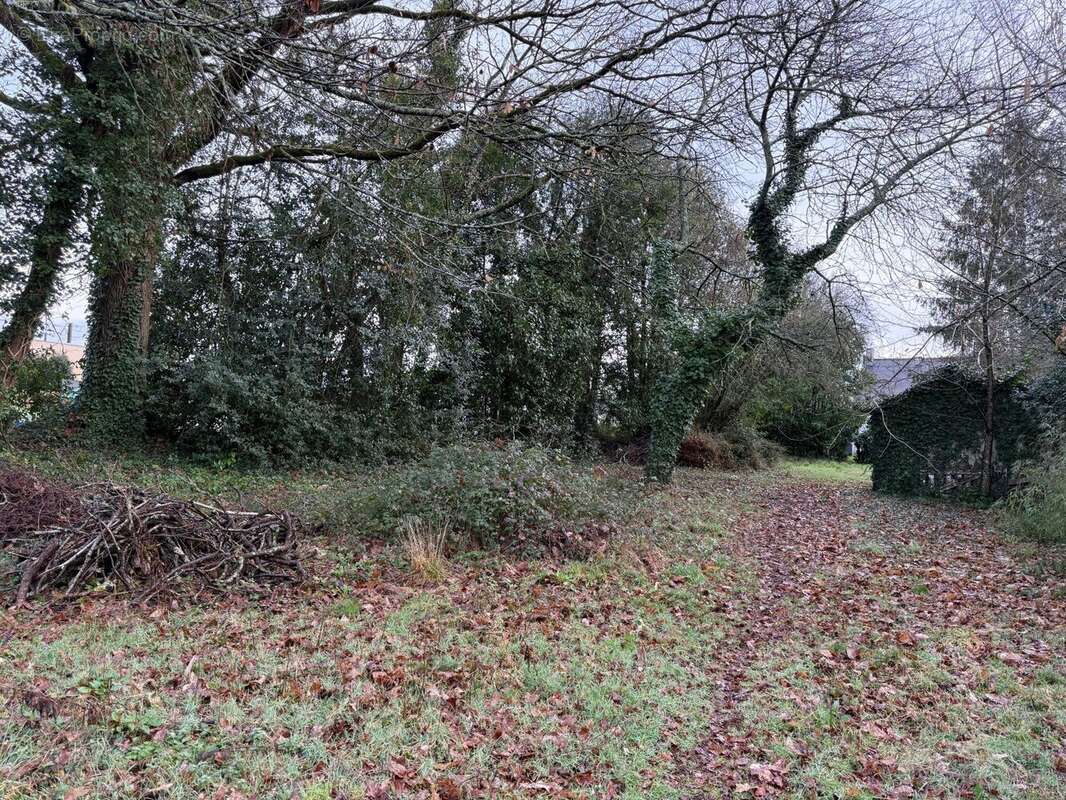 Terrain à PLESSE