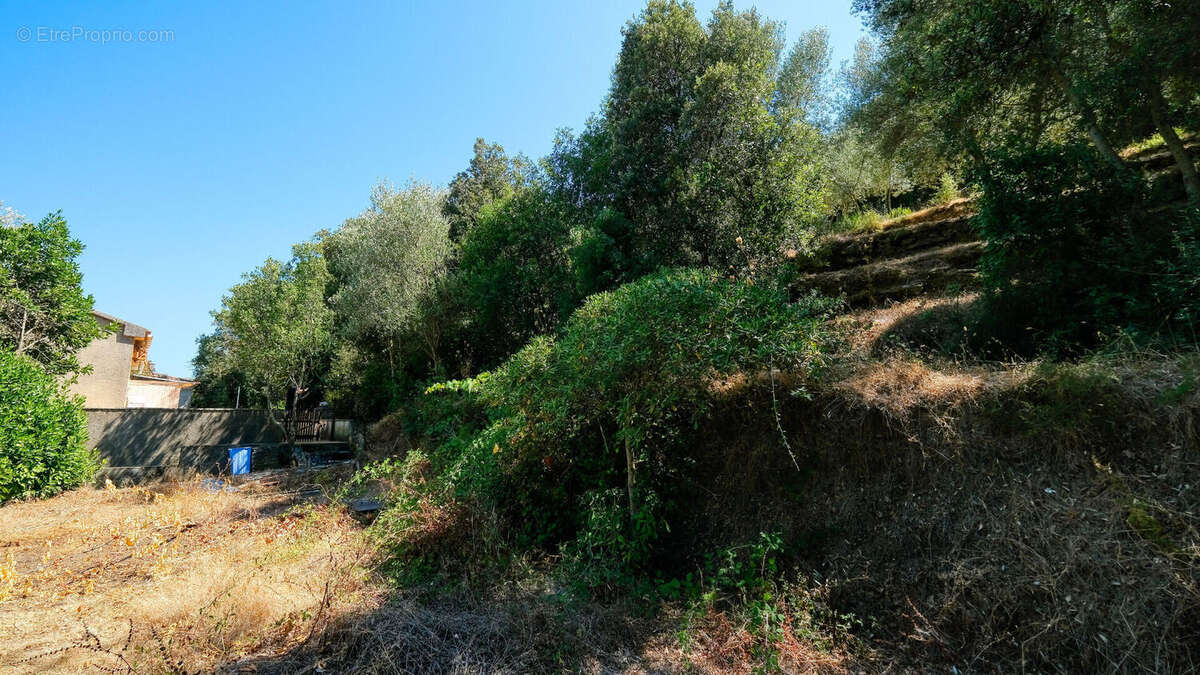 Maison à SAN-MARTINO-DI-LOTA